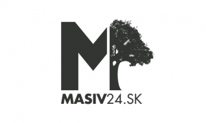 masiv24